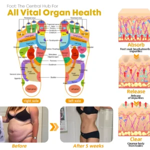 𝐀𝐫𝐭𝐡𝐫𝐨𝐅𝐫𝐞𝐞™ 𝐁𝐞𝐞 𝐕𝐞𝐧𝐨𝐦 𝐏𝐚𝐢𝐧-𝐑𝐞𝐥𝐢𝐞𝐟 𝐁𝐨𝐧𝐞 𝐇𝐞𝐚𝐥𝐢𝐧𝐠 𝐏𝐚𝐭𝐜𝐡
