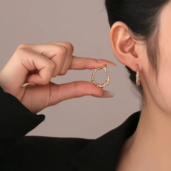 Zirconia twist earrings