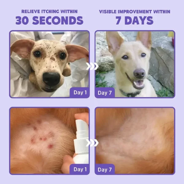Flea & Tick Kolirin Spray