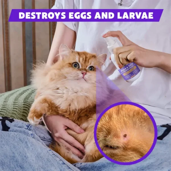 Flea & Tick Kolirin Spray