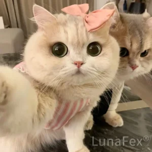 LUNA the Robot Cat Perfect Pet Duo for Kids & Family