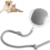 RolliePet smart chase pet toy ball