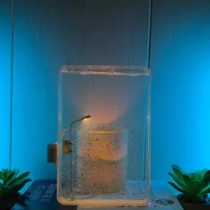 Snow scene